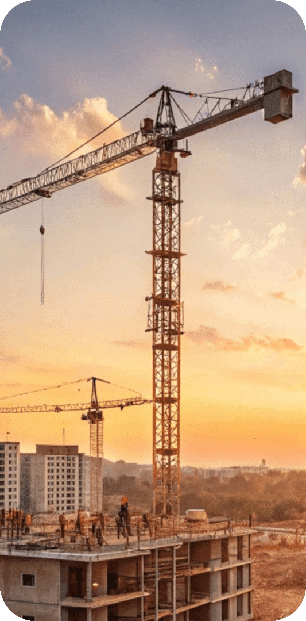 Construction Company Roles