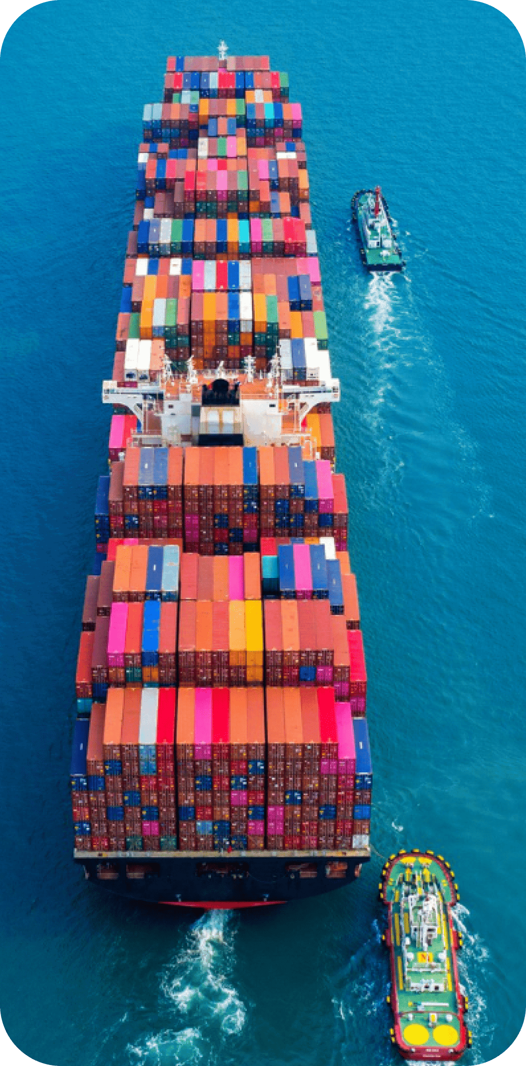 Logistics & Shipping Roles